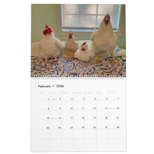 Le calendrier Real Boo the Roo 2022 (Feb 2026)