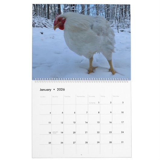 Le calendrier Real Boo the Roo 2022 (Jan 2026)