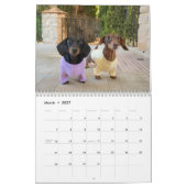 Le Calendrier Starbox Dachshunds 2026 (Mar 2027)