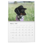 Le Calendrier Starbox Dachshunds 2026 (Feb 2027)