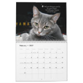 Le Calendrier Tao de Nora (Nora Le Piano Cat) (Feb 2027)