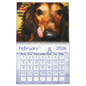 Le câlin branche le calendrier sur table d'écoute (Feb 2026)