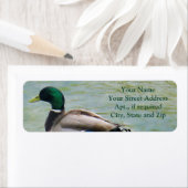 Le canard à colle fier comme étiquettes d'adresse (En situation)