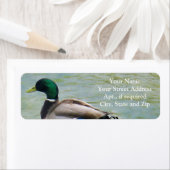 Le canard à colle fier comme étiquettes d'adresse (En situation)