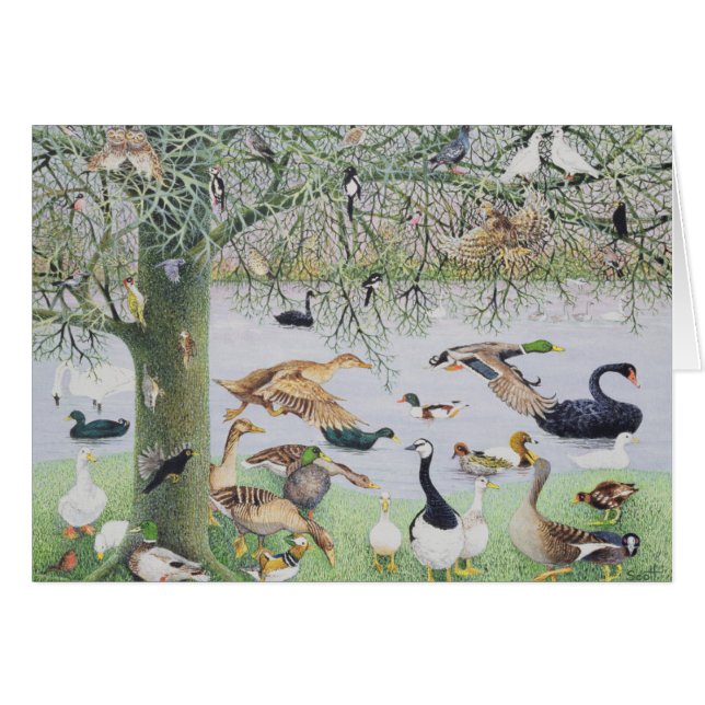 Le canard impair (Devant horizontal)