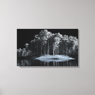 Le Canevas White Woods (Night) Imprimer