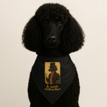 Le caniche aristostratique