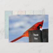 Le cardinal rouge sur le Merci en bois (Devant / Derrière)