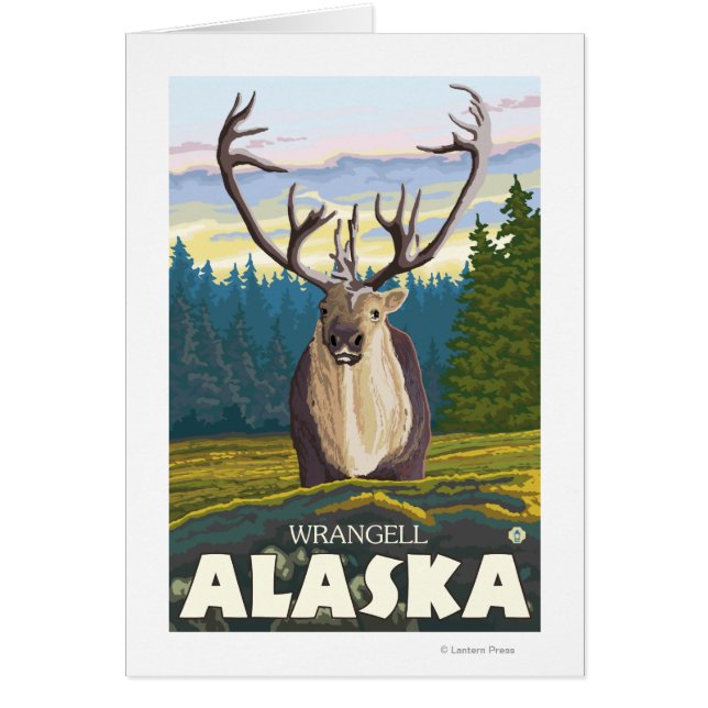 Le caribou dans la nature - Wrangell, Alaska (Devant)