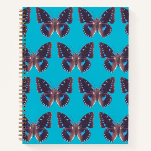 Le Carnet à couvercle rigide à papillon bleu Swall (Devant)