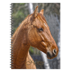 Le Carnet animal équin des amateurs de chevaux