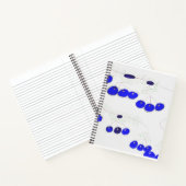 Le carnet aux bleuets (Intérieur)