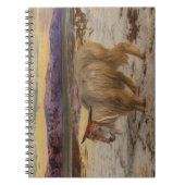 Le carnet bouc émissaire de Hunt (Devant)
