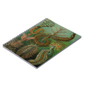 Le Carnet Chaetopoda de Haeckel (Côté gauche)