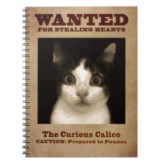 Le carnet curieux de chaton de calicot