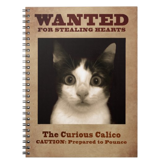 Le carnet curieux de chaton de calicot (Devant)