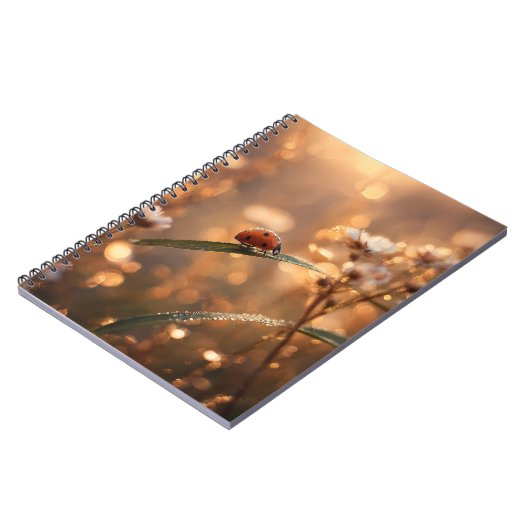 Le Carnet d'Aube Dorée de Ladybug (Côté gauche)