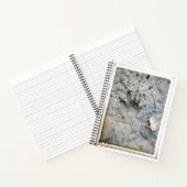 Le Carnet de Frog's Foot College (Intérieur)