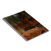 Le Carnet de l'après-midi de l'année (Côté Droit)