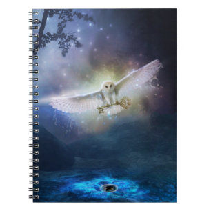 Le carnet de messager