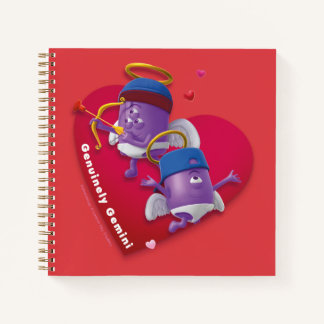 Le Carnet de Saint Valentin pour Gemini