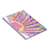 Le Carnet du fan de Ryan (Côté Droit)