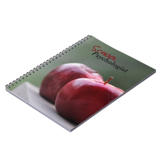 Le carnet du psychologue d'école (Côté gauche)