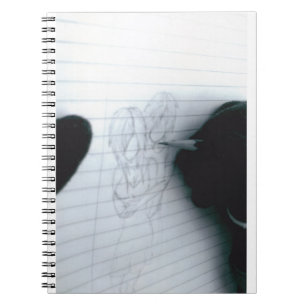 Le carnet du romancier