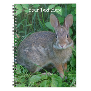 Le Carnet naturel du lapin sauvage