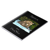 Le Carnet Otis (Côté gauche)