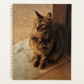 Le Carnet paisible de Kitty (Devant)