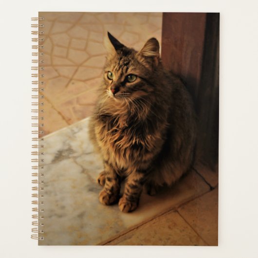 Le Carnet paisible de Kitty (Devant)
