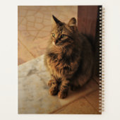 Le Carnet paisible de Kitty (Dos)