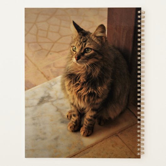 Le Carnet paisible de Kitty (Dos)