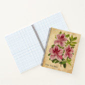 Le Carnet secret de l'Azalée (Intérieur)