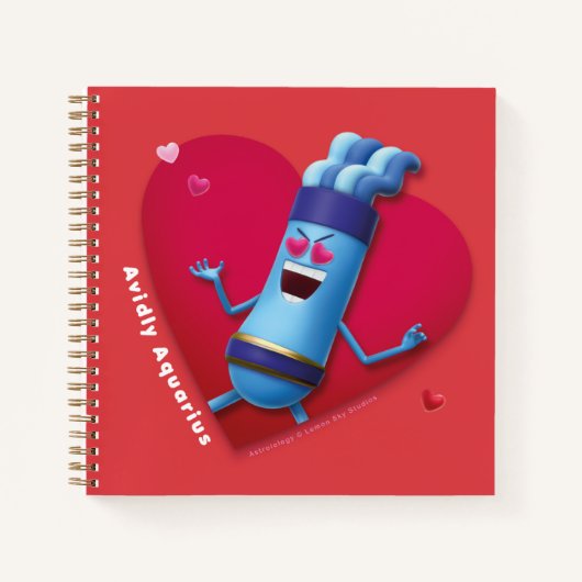 Le Carnet Valentin pour Aquarius (Devant)