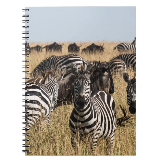 Le Carnet zèbre de Grant (Devant)