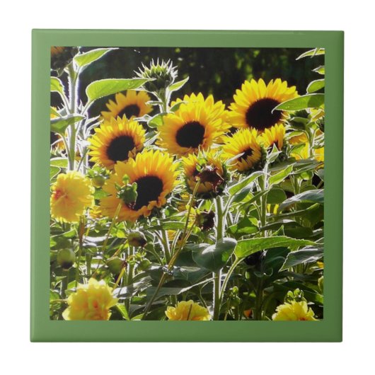 Le carreau de céramique peut être utilisé comme (Devant)