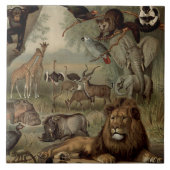 Le carreau de la Jungle Vintage (Devant)