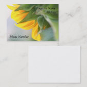 Le carte de visite de tournesol lui font vos (Devant / Derrière)