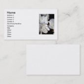 Le carte de visite du photographe (Devant / Derrière)