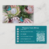 Le Carte de visite du roi Protea (Devant / Derrière)