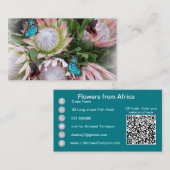 Le Carte de visite du roi Protea (Devant / Derrière)