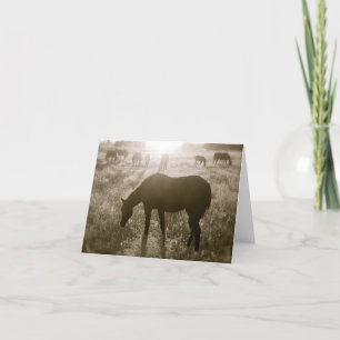 Le carte pour notes de sanctuaire de cheval