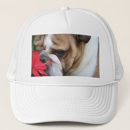 Le casquette de bouledogue "prennent du temps de (Devant)