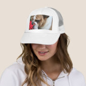 Le casquette de bouledogue "prennent du temps de (En situation)