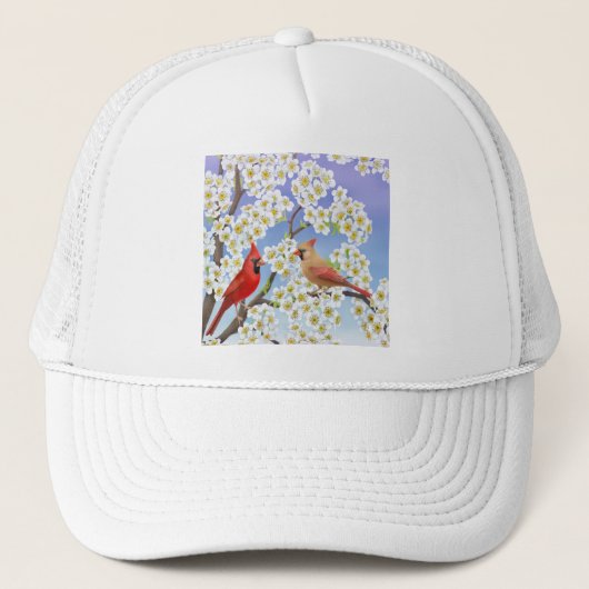 Le casquette de maille de cardinaux (Devant)