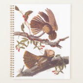 Le cauchemar de la veuve de Chuck Will avec serpen (Devant)