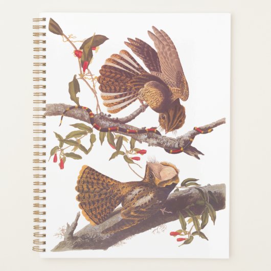 Le cauchemar de la veuve de Chuck Will avec serpen (Devant)