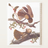 Le cauchemar de la veuve de Chuck Will avec serpen (Dos)